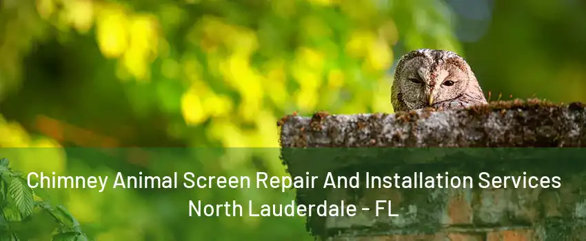 Chimney Animal Screen Repair And Installation Services North Lauderdale - FL