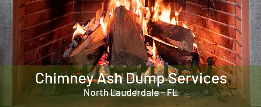 Chimney Ash Dump Services North Lauderdale - FL