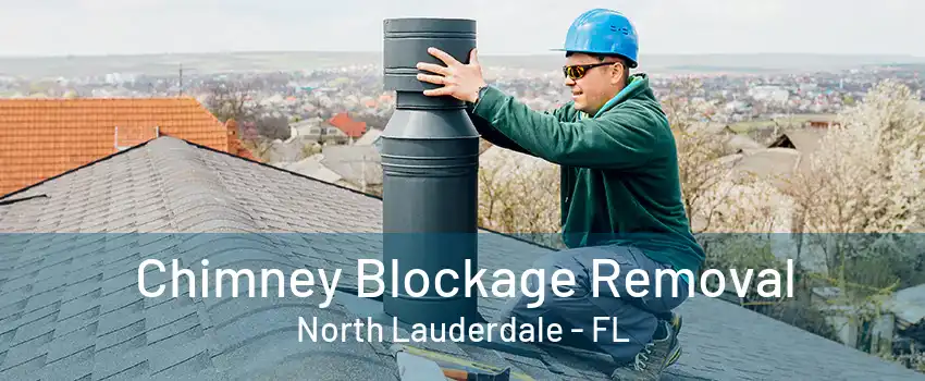 Chimney Blockage Removal North Lauderdale - FL