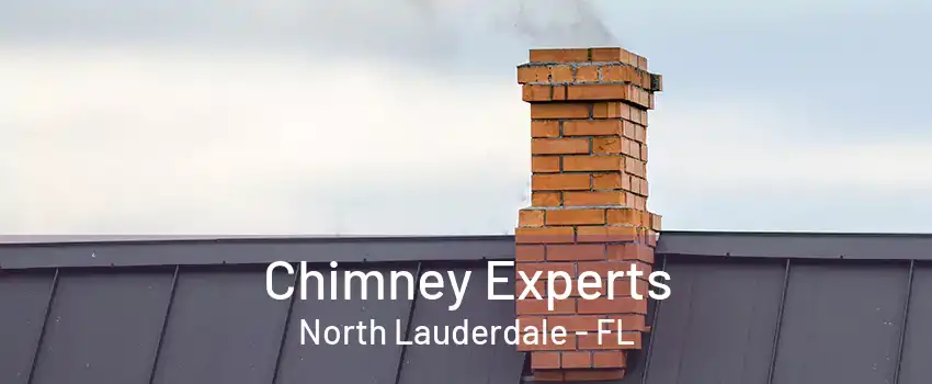 Chimney Experts North Lauderdale - FL