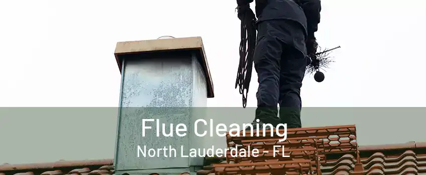 Flue Cleaning North Lauderdale - FL